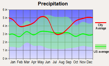 Gary City, Texas average precipitation