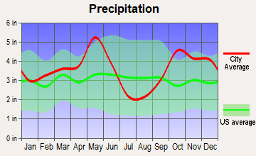 Grand Saline, Texas average precipitation