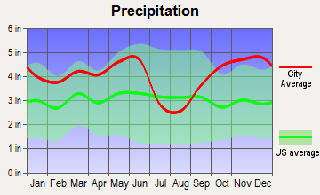 Hallsville, Texas average precipitation