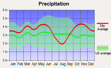 Hawkins, Texas average precipitation