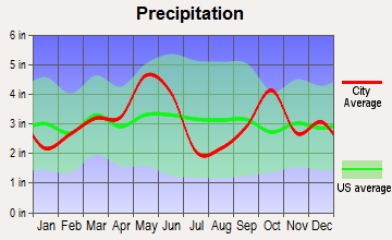 Hillsboro, Texas average precipitation