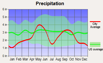 Holliday, Texas average precipitation