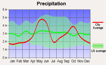 Hollywood Park, Texas average precipitation