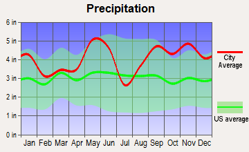 Huntsville, Texas average precipitation