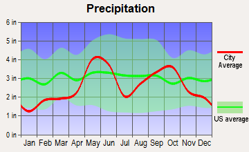 Ingram, Texas average precipitation