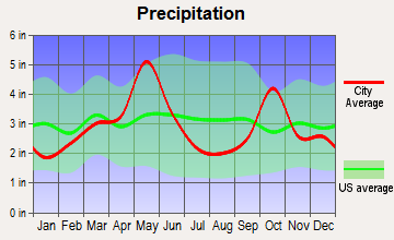 Irving, Texas average precipitation
