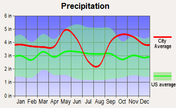 Jacksonville, Texas average precipitation