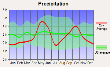 Johnson City, Texas average precipitation