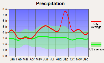 Jones Creek, Texas average precipitation