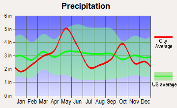 Keene, Texas average precipitation
