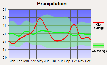 Lake Worth, Texas average precipitation