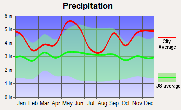 Livingston, Texas average precipitation