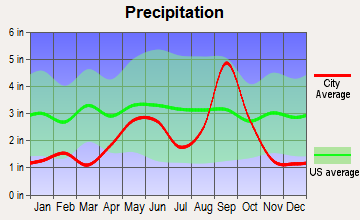 Los Indios, Texas average precipitation