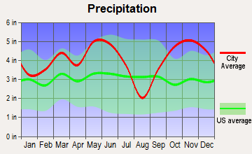 Mount Pleasant, Texas average precipitation