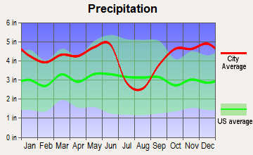 Nesbitt, Texas average precipitation