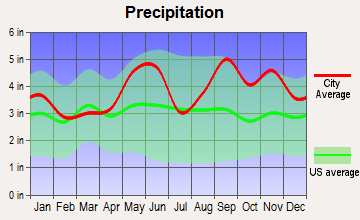 Orchard, Texas average precipitation