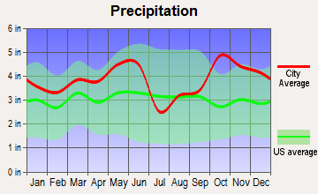Palestine, Texas average precipitation