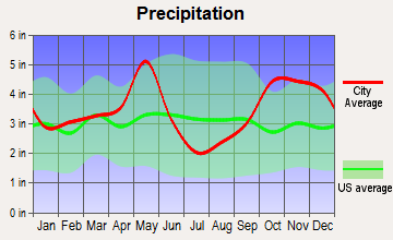 Quitman, Texas average precipitation