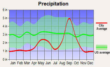 Ratamosa, Texas average precipitation