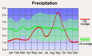 Raymondville, Texas average precipitation