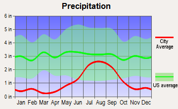 Van Horn Rural, Texas average precipitation