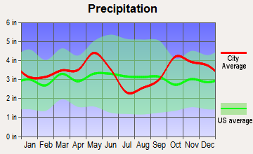 Butler, Texas average precipitation