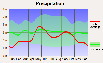 Rochelle, Texas average precipitation