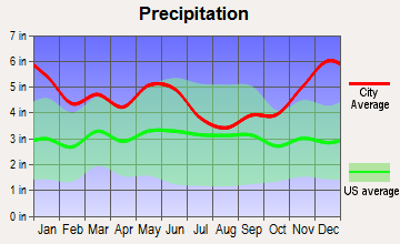 Burkeville, Texas average precipitation