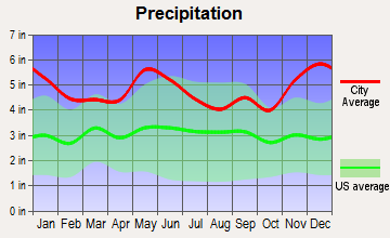 Call, Texas average precipitation