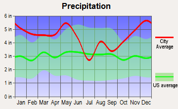 Shelbyville, Texas average precipitation
