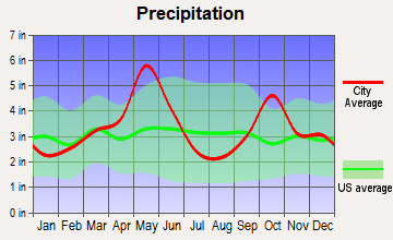 Richardson, Texas average precipitation