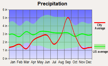 San Benito, Texas average precipitation