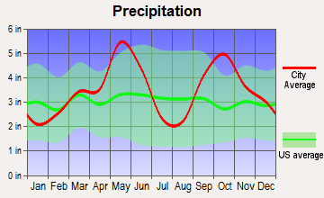 Southmayd, Texas average precipitation