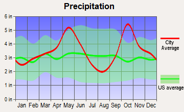 Terrell, Texas average precipitation