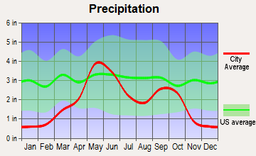 Wellington, Texas average precipitation