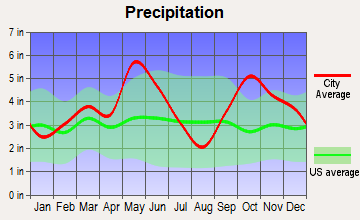 Windom, Texas average precipitation