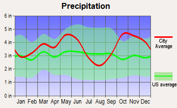 Winnsboro, Texas average precipitation