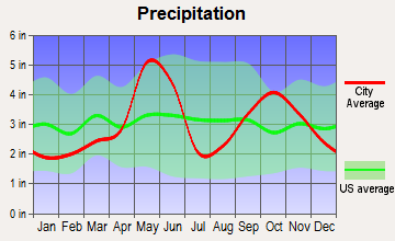 Woodcreek, Texas average precipitation