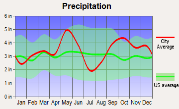 Wortham, Texas average precipitation