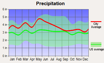 Troutdale, Virginia average precipitation