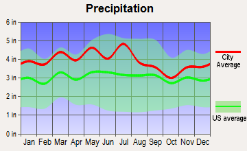 Wise, Virginia average precipitation