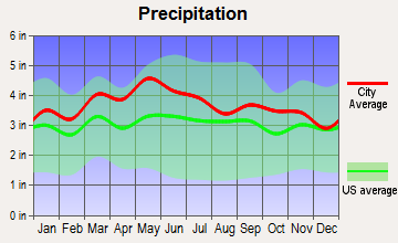 Woodlawn, Virginia average precipitation