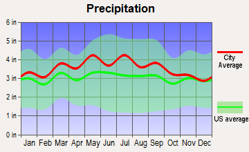 Blue Ridge, Virginia average precipitation