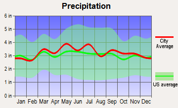 Buena Vista, Virginia average precipitation