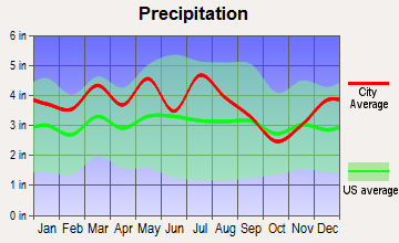 Chilhowie, Virginia average precipitation