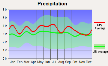 Clarksville, Virginia average precipitation