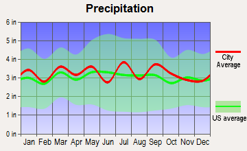 Drakes Branch, Virginia average precipitation