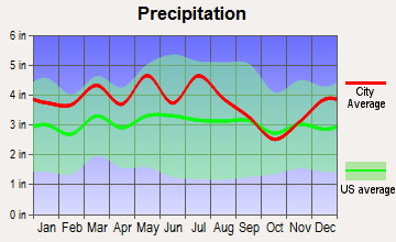 Emory-Meadow View, Virginia average precipitation