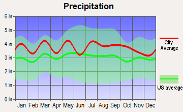 Farmville, Virginia average precipitation