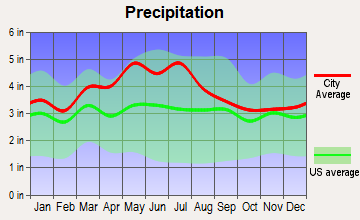 Grundy, Virginia average precipitation